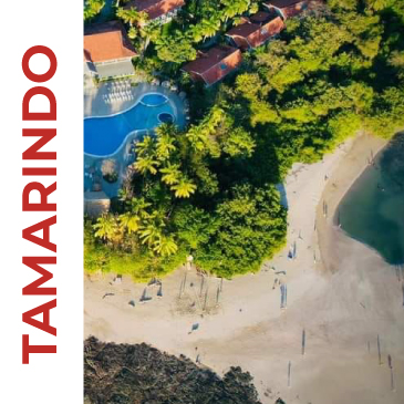 Tamarindo Hotel