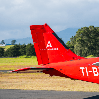 plane tail