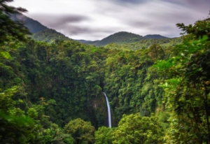 Jungle costa rica